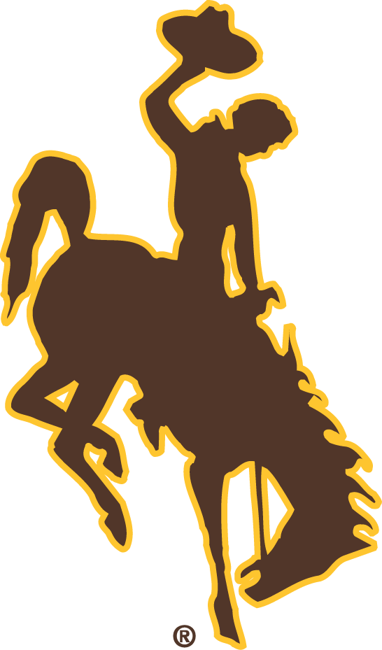 Wyoming Cowboys 2006-Pres Primary Logo vinyl decal